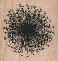 Dandelion Head Silhouette 1 1/2 x 1 1/2-0