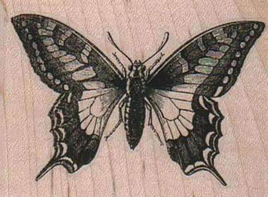 Butterfly 2 3/4 x 2-0