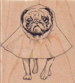 Caped Pug 2 1/4 x 2 1/4-0