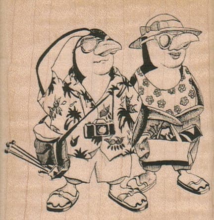 Penguin Tourists 3 x 3-0