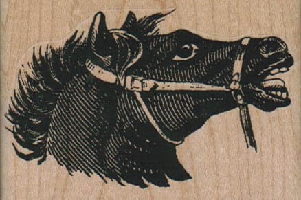 Horse's Head 3 x 2-0