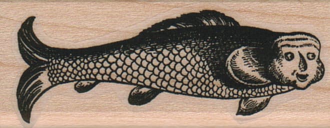 Fish Face 1 x 2 1/4-0