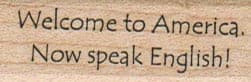Welcome To America 3/4 x 1 3/4-0