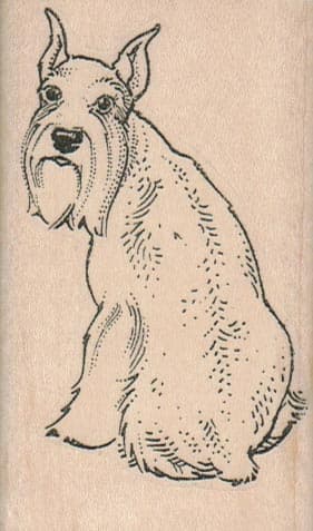Schnauzer Back 2 x 3 1/4-0