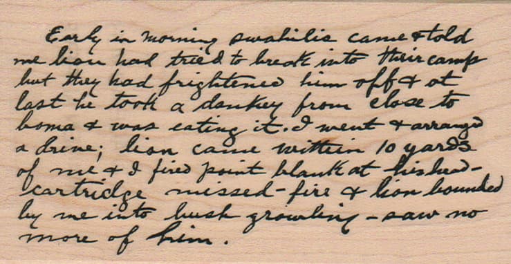 Early In Morning Swahilis 2 3/4 x 5-0