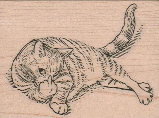 Cat Finger 3 x 3 3/4-0