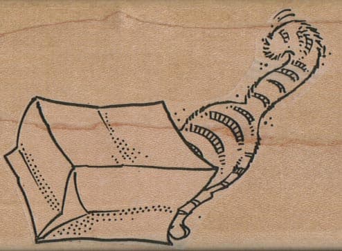 Cat In Bag 2 1/2 x 3 1/2-0