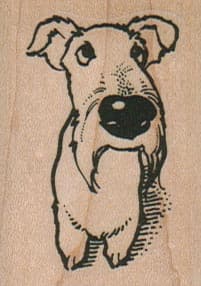 Dog Looking Up 1 1/2 x 2-0