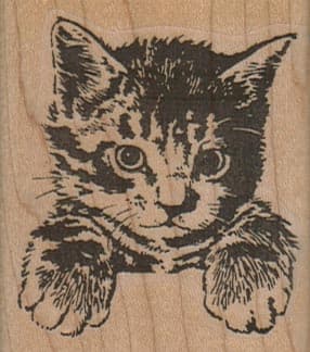 Cat Paws 2 x 2 1/4-0