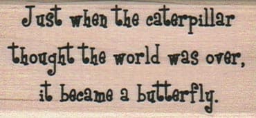 Just When The Caterpillar 1 1/4 x 2 1/2-0