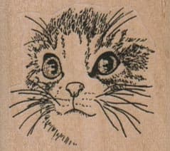 Cat Face/Medium 1 3/4 x 1 1/2-0