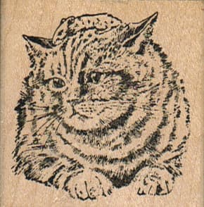 Cat 'N' Mouse 2 x 2-0