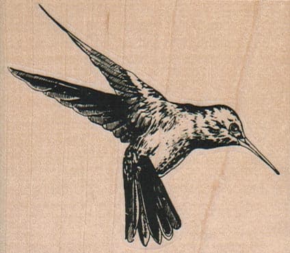 Hummingbird 3 x 2 1/2-0
