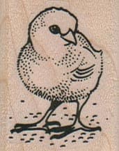 Cute Chick 1 1/4 x 1 1/2-0