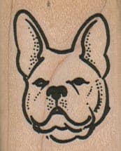 French BullDog Head 1 1/4 1 1/2-0