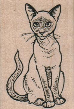 Siamese Kitty Staring Intently 1 3/4 x 2 3/4-0