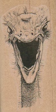 Screaming Ostrich/Small 1 1/2 x 2 3/4-0