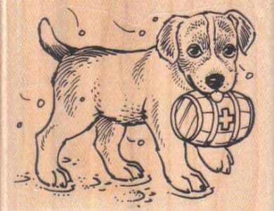 St. Bernard Puppy 3 x 2 1/4-0