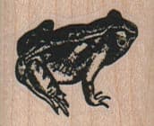 Frog Looking Up 1 1/4 x 1-0