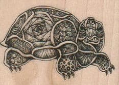 Tangle Turtle 2 1/2 x 1 3/4-0