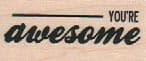You're Awesome 3/4 x 1 1/2-0