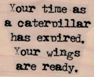 Your Time As A Caterpillar 1 3/4 x 2-0