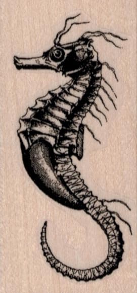 Seahorse 1 1/2 x 3-0