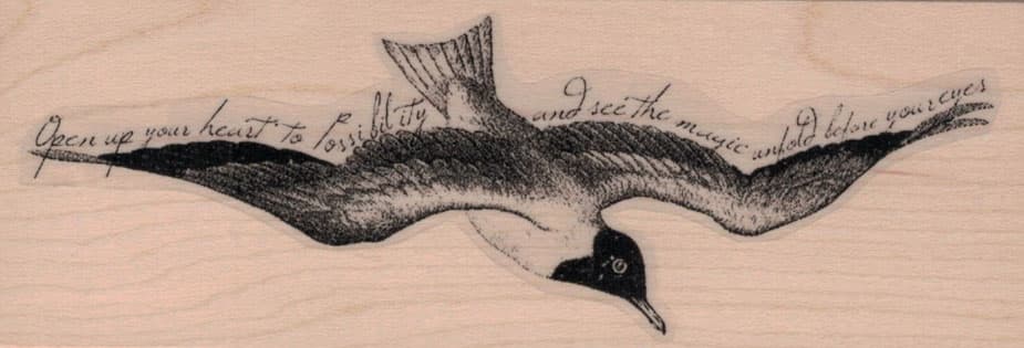 Open Up Your Heart Bird by Cat Kerr 1 3/4 x 4 3/4-0