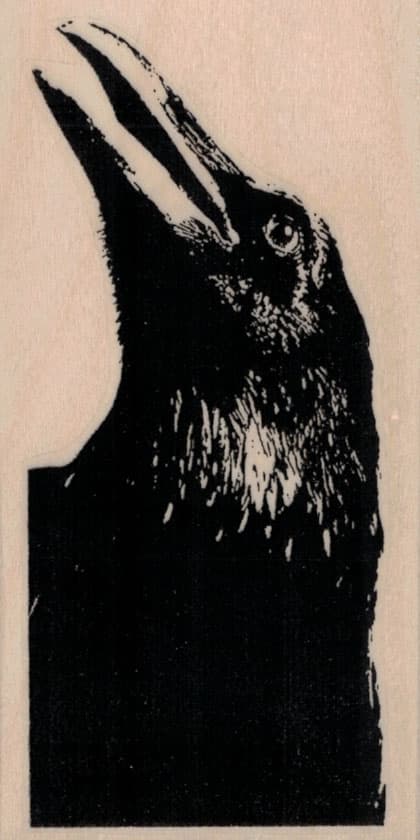 Raven Looking Up 2 1/4 x 4 1/4-0