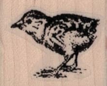 Chick 1 1/4 x 1-0