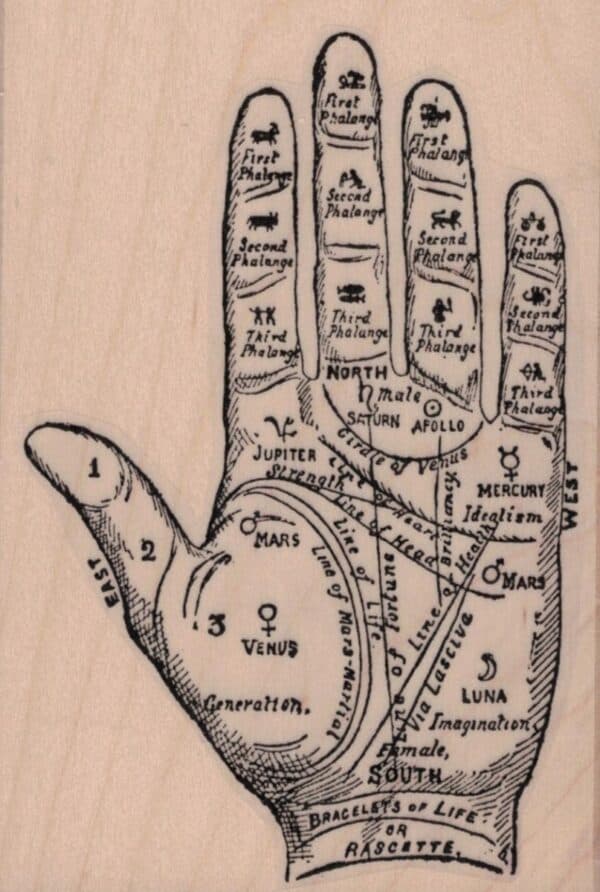 Palmistry Palm 3 X 4 1/4