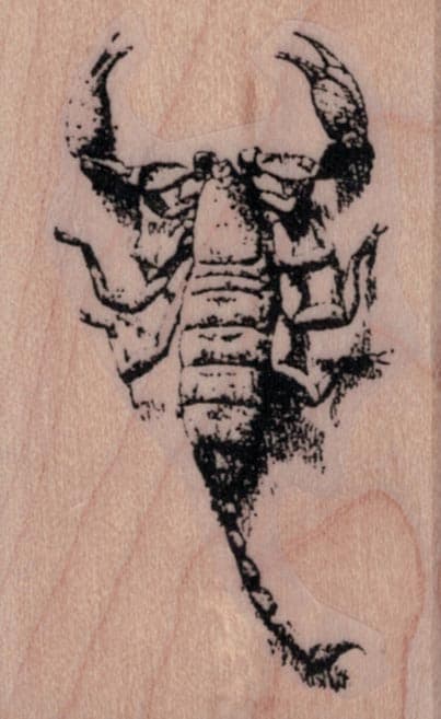 Scorpion 1 1/2 X 2 1/4