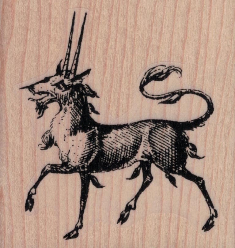 Pirassoipi Bicorn 2 3/4 X 2 3/4