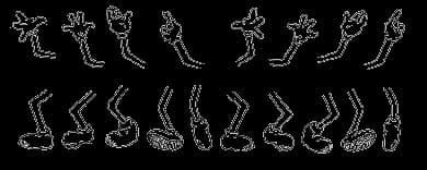 Cartoon Set Arms And Legs (unmounted)