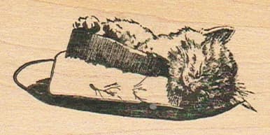 Cat Sleeping In Hat 1 1/2 X 2 3/4