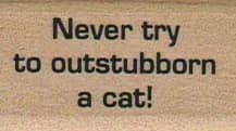 Never Try To Outstubborn A Cat 1 X 1 1/2