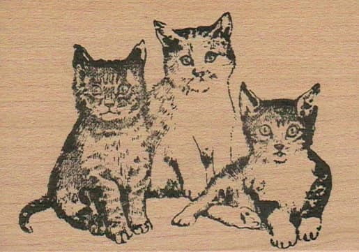 Kitty Trio 2 1/2 X 3 1/2