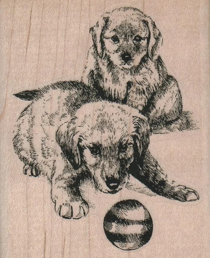 Dogs With Ball 2 1/2 X 3