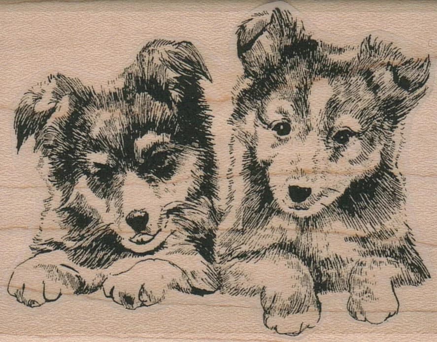 Sheltie Duo 2 1/2 X 3