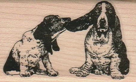 Ear Pull Basset Hounds 2 X 3 1/4