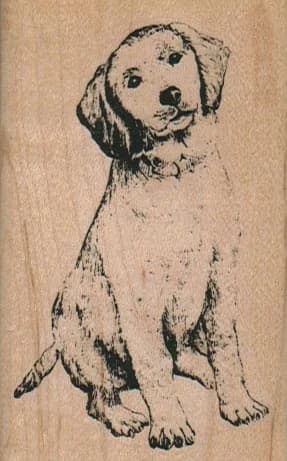 Dog With Cocked Head 2 X 3 1/4