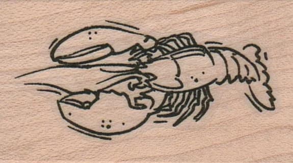 Lobster 1 1/4 X 2