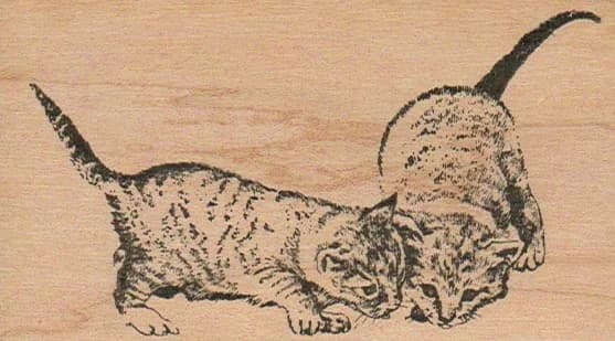 Cats Searching 2 1/4 X 3 3/4