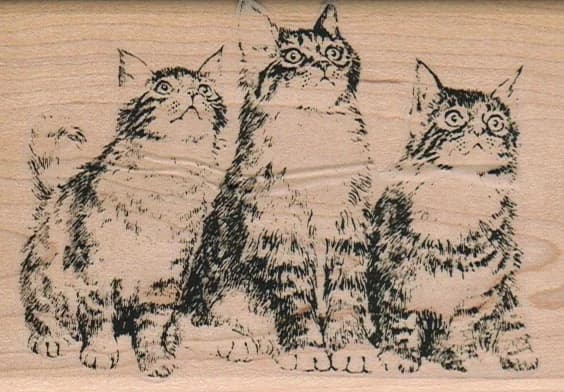 Kitty Trio Looking Up 2 3/4 X 4