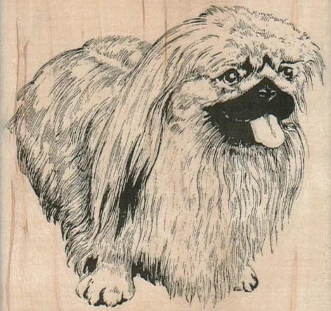 Panting Pekingese 3 1/4 X 3