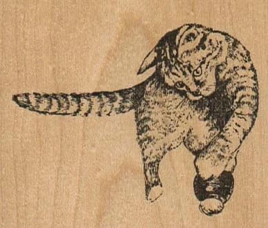 Cat With Solid Ball 2 3/4 X 2 1/2