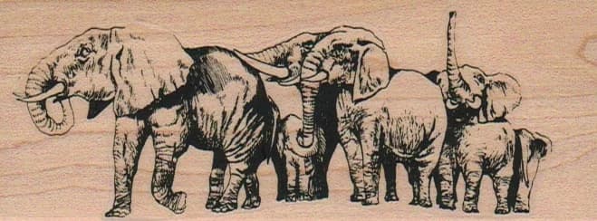 Elephant Herd 1 3/4 X 4 1/2