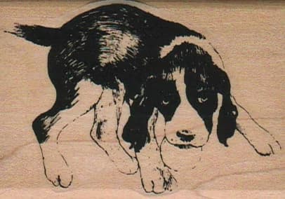 Black And White Pooch 2 X 2 3/4