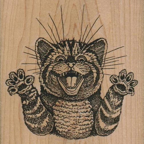 Stressed Out Scary Cat 3 1/2 X 3 1/2