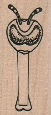 Alien Pez Dispenser 1 1/4 X 2 1/2